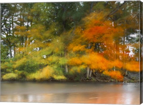 Framed Trees,Water and wind Print