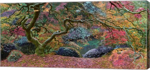 Framed Final Rainbow Tree Print