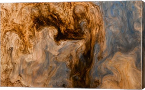 Framed Ephemeral Beauty 12 Print