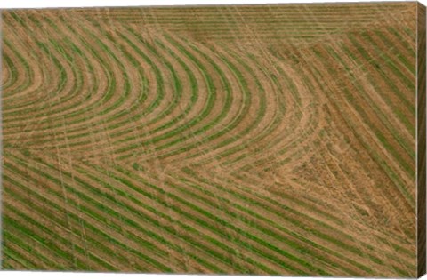 Framed Abstract Air 1-1 Print