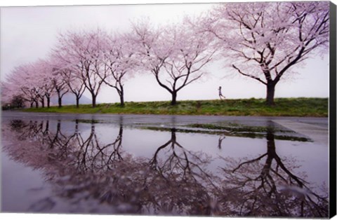 Framed Rain of Spring Print