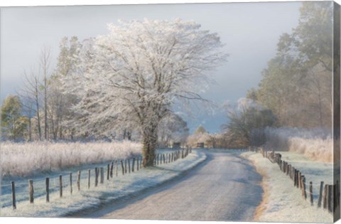 Framed Frosty Morning Print