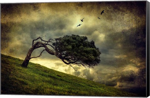 Framed Winds of Change Print