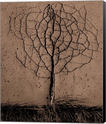 Framed Asphalt Tree Print