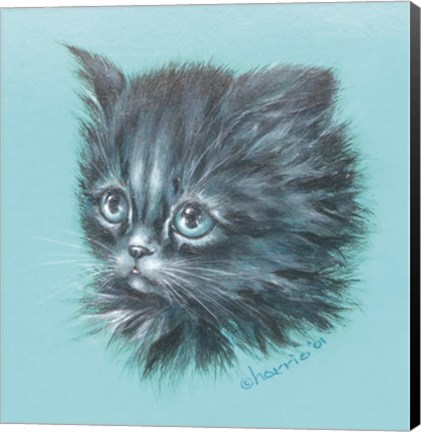 Framed Black Kitten - 23A Print