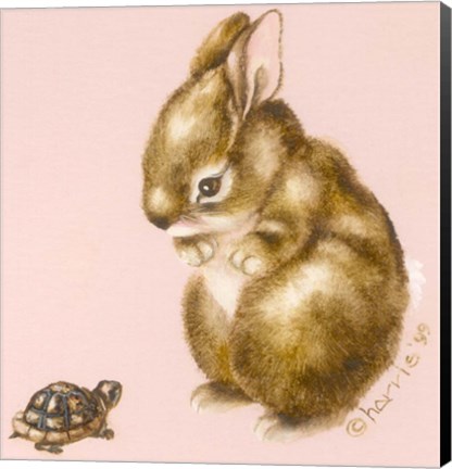 Framed Bunny And Turtle Print