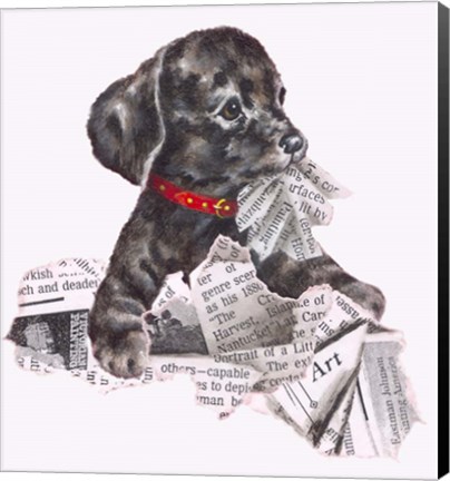 Framed Newspaper Pup - 13A Print