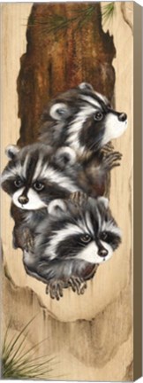 Framed Just Looking Print