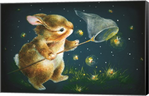 Framed Light Show Print