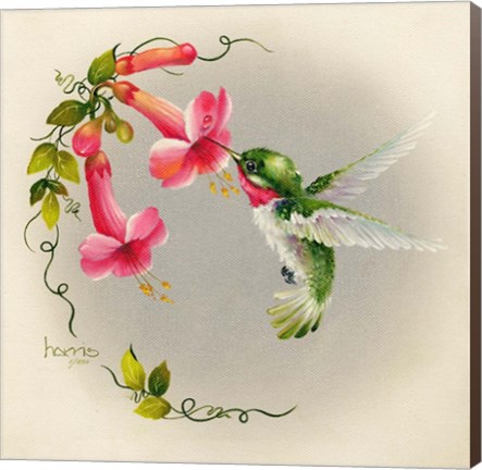 Framed Hummingbirds With Trumpet Flowers 1 Print