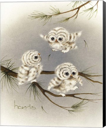 Framed Baby Barnstormers Print