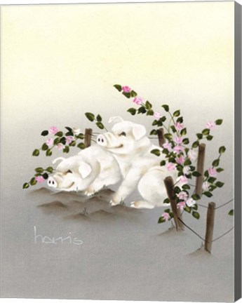 Framed Swine And Roses Print