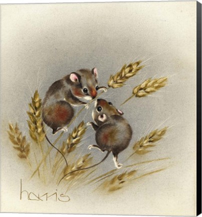 Framed Kissin&#39; Cousins Print