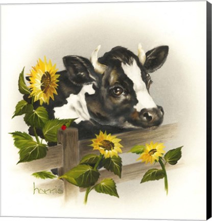 Framed Bull &amp; Sunflowers Print