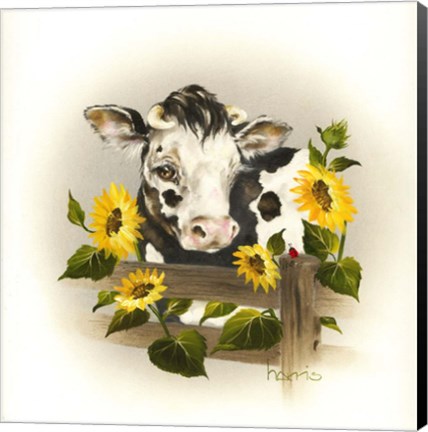 Framed Cow &amp; Sunflowers Print
