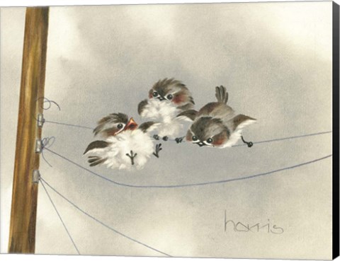 Framed One Ringy Dingy Print