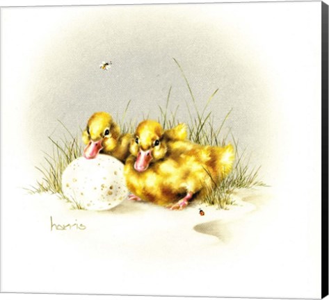 Framed Ducks And Egg Print