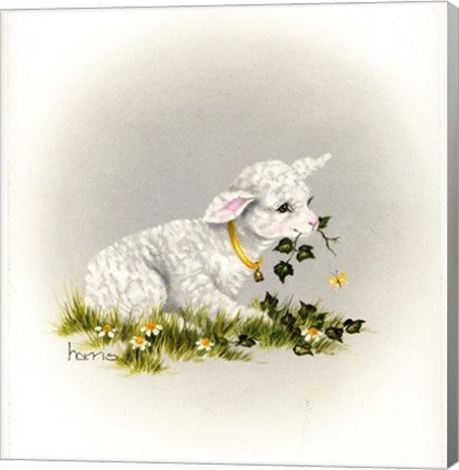 Framed Little Lambsy Divey Print