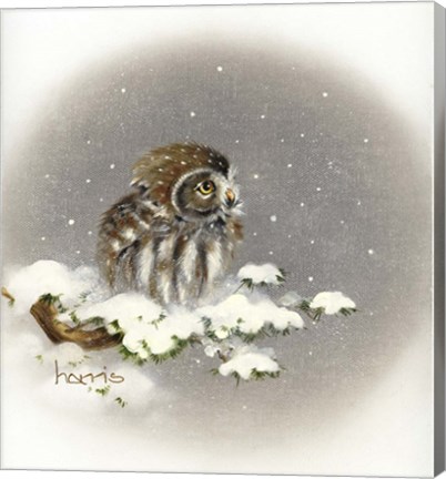 Framed Snow Daze Print