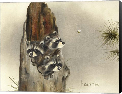 Framed Ain&#39;T Misbehavin&#39;... Yet Print