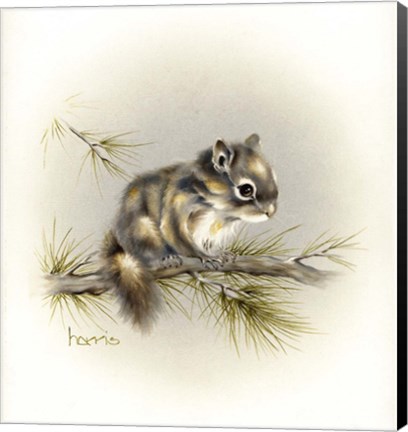 Framed Tattle-Tail Baby Print