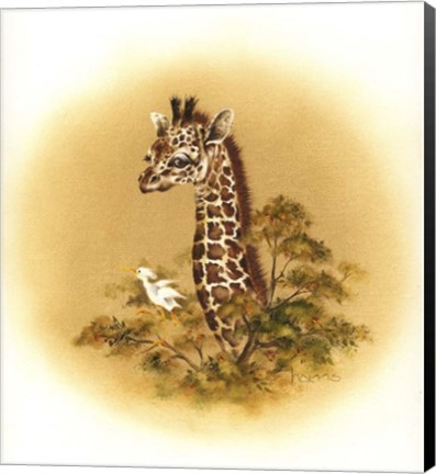 Framed Giraffe Print
