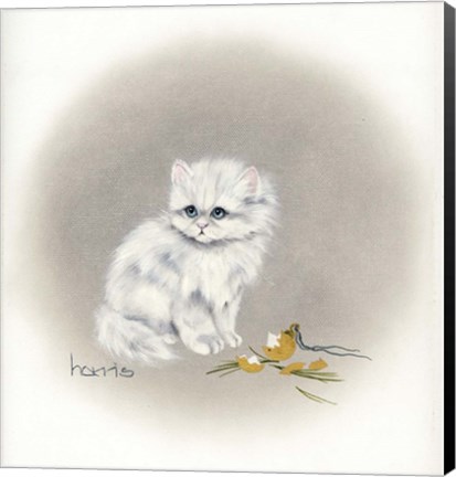 Framed White Kitty (Ornament) Print