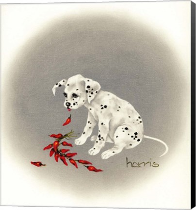 Framed Dalmation 5 - Chile Dog Print