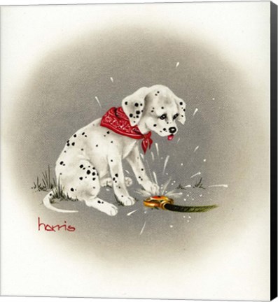 Framed Dalmation 3- Sprinkles Print