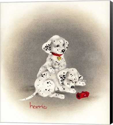 Framed Dalmation 2 - Curiosity Print