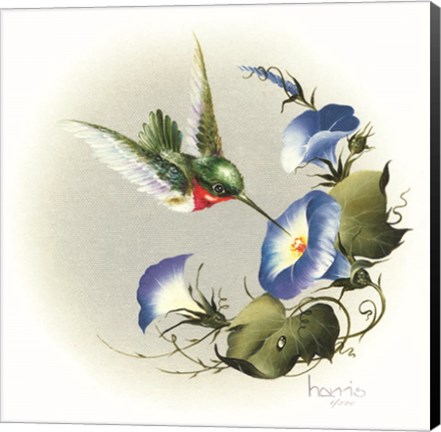 Framed Wee Wonder Print