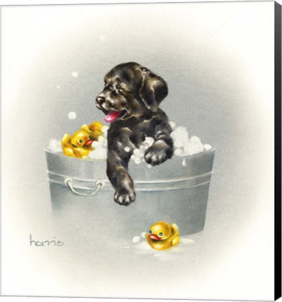 Framed Ducks Unlimited Print