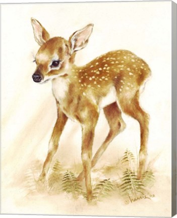 Framed Fawn Print
