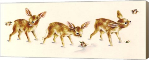 Framed Fawns Print