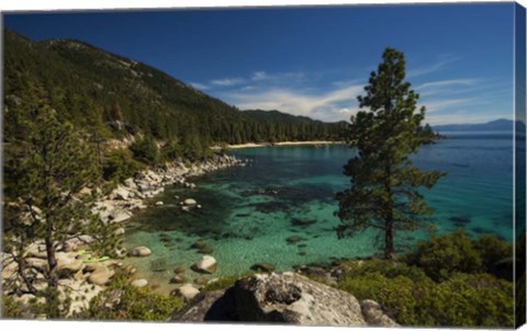 Framed Nature Walk Print