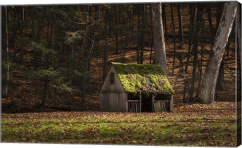 Framed Rustic Glow Print