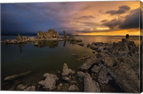 Framed Transition Print