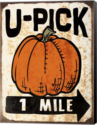 Framed U-Pick Pumpkin Print