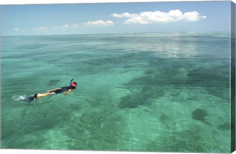 Framed Snorkeler Print