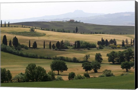 Framed Tuscan Hillside 1 Print