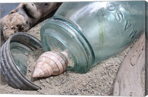 Framed One Shell Mason Jar Print