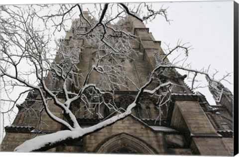 Framed Branch Snow Cathedral 9688 Print