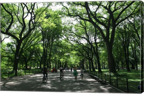 Framed Central Park Mall Summer Print