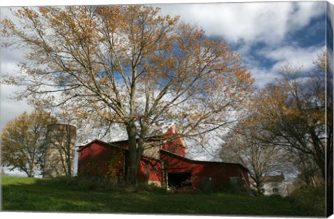 Framed Early Spring Tree Barn Print