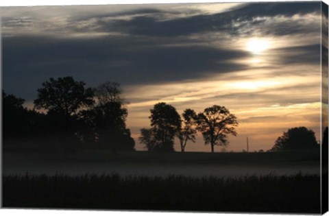Framed Grey Dawn Wetland Print