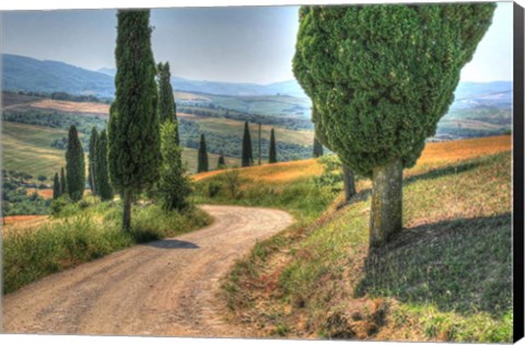Framed Tuscan Footpath 0392 Print