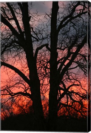 Framed November Sunset Vertical Print