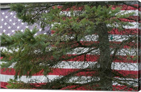 Framed Pine Flag Barn Print