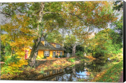Framed Along The Canal Print