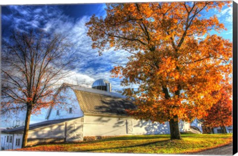 Framed Autumn Barns Print
